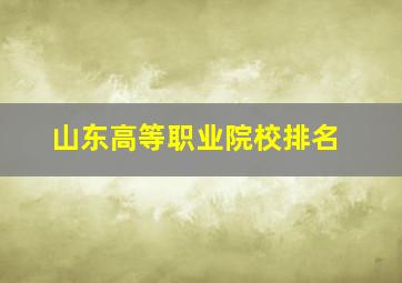 山东高等职业院校排名