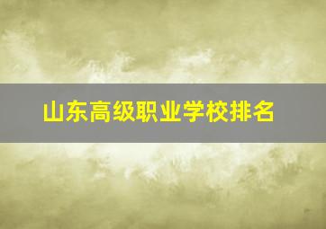 山东高级职业学校排名