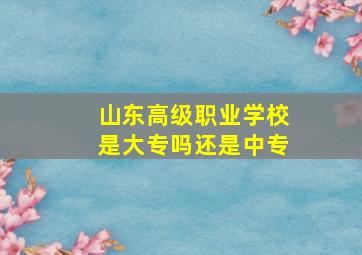 山东高级职业学校是大专吗还是中专