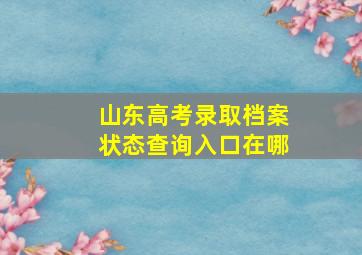 山东高考录取档案状态查询入口在哪