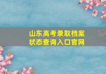 山东高考录取档案状态查询入口官网