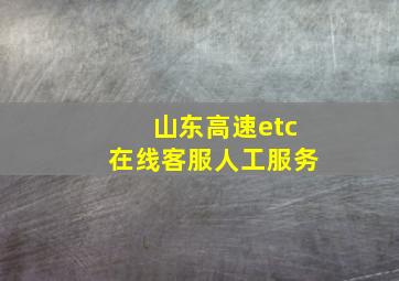 山东高速etc在线客服人工服务