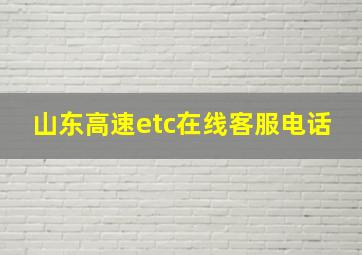 山东高速etc在线客服电话