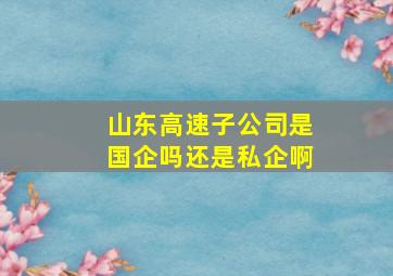 山东高速子公司是国企吗还是私企啊