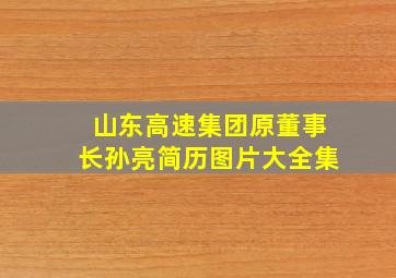 山东高速集团原董事长孙亮简历图片大全集