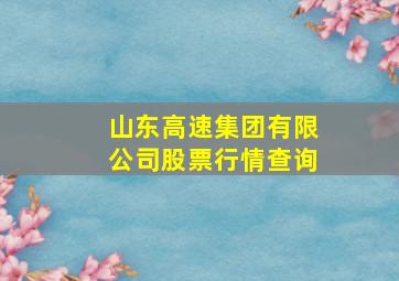 山东高速集团有限公司股票行情查询