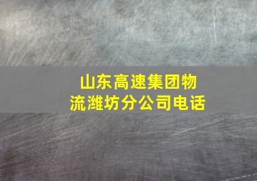 山东高速集团物流潍坊分公司电话