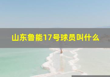 山东鲁能17号球员叫什么