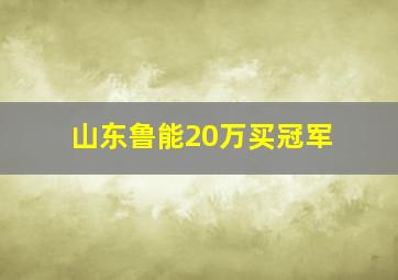 山东鲁能20万买冠军