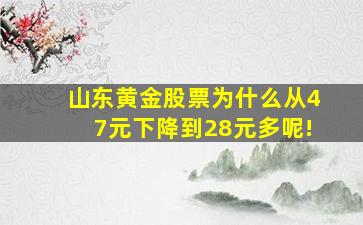 山东黄金股票为什么从47元下降到28元多呢!