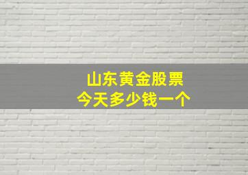 山东黄金股票今天多少钱一个