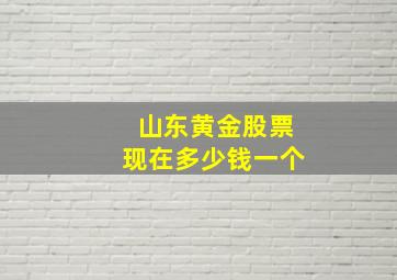 山东黄金股票现在多少钱一个