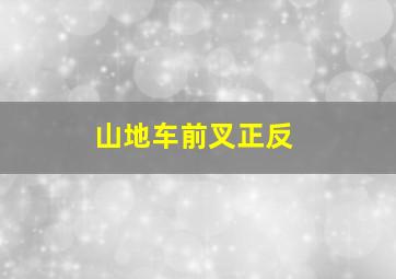 山地车前叉正反