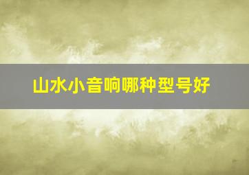 山水小音响哪种型号好