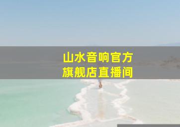 山水音响官方旗舰店直播间