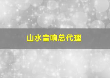 山水音响总代理