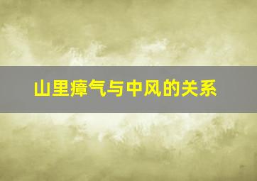 山里瘴气与中风的关系