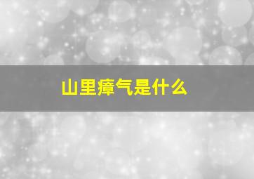 山里瘴气是什么