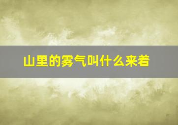 山里的雾气叫什么来着