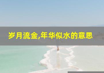 岁月流金,年华似水的意思