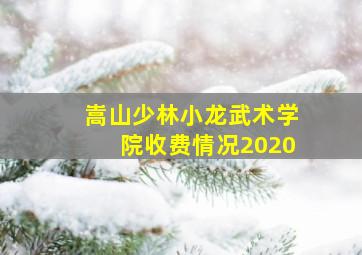 嵩山少林小龙武术学院收费情况2020