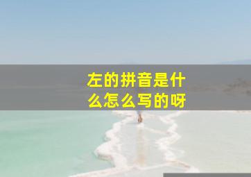 左的拼音是什么怎么写的呀