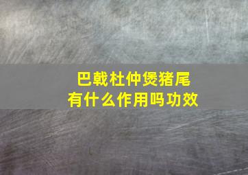 巴戟杜仲煲猪尾有什么作用吗功效