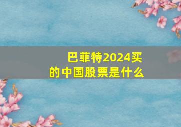 巴菲特2024买的中国股票是什么