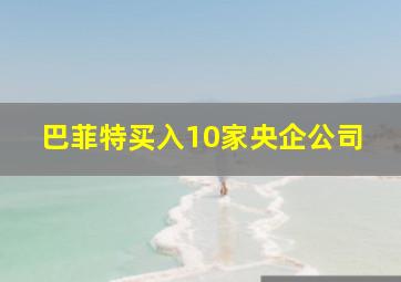 巴菲特买入10家央企公司