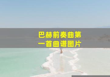 巴赫前奏曲第一首曲谱图片