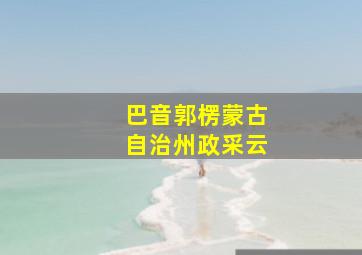 巴音郭楞蒙古自治州政采云