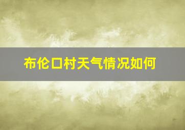 布伦口村天气情况如何