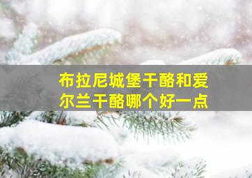 布拉尼城堡干酪和爱尔兰干酪哪个好一点