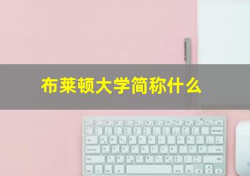 布莱顿大学简称什么