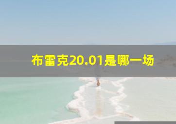 布雷克20.01是哪一场