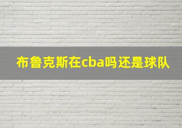 布鲁克斯在cba吗还是球队