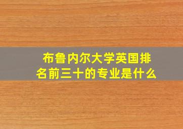 布鲁内尔大学英国排名前三十的专业是什么