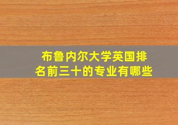 布鲁内尔大学英国排名前三十的专业有哪些