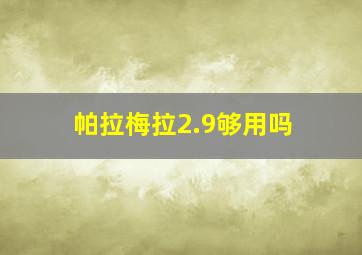 帕拉梅拉2.9够用吗