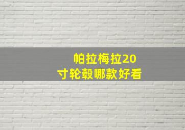 帕拉梅拉20寸轮毂哪款好看