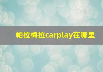 帕拉梅拉carplay在哪里