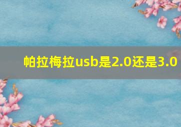 帕拉梅拉usb是2.0还是3.0