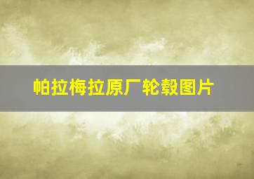 帕拉梅拉原厂轮毂图片