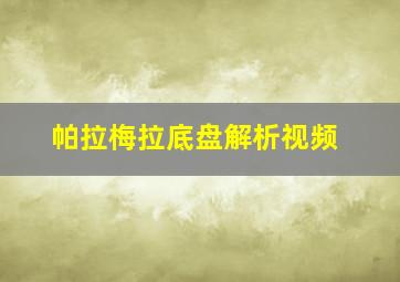 帕拉梅拉底盘解析视频