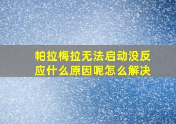 帕拉梅拉无法启动没反应什么原因呢怎么解决