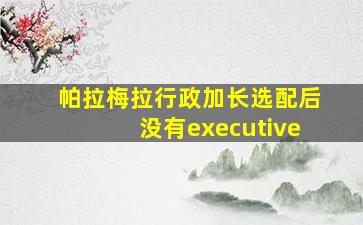 帕拉梅拉行政加长选配后没有executive