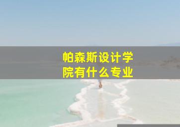 帕森斯设计学院有什么专业