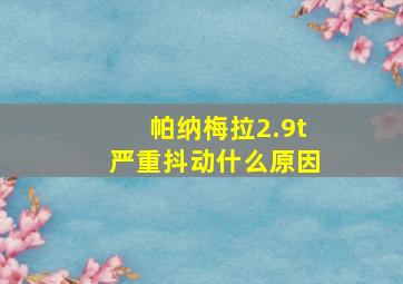 帕纳梅拉2.9t严重抖动什么原因