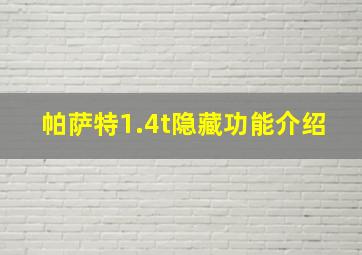 帕萨特1.4t隐藏功能介绍