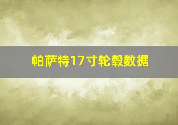 帕萨特17寸轮毂数据